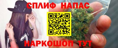 гидра Бузулук