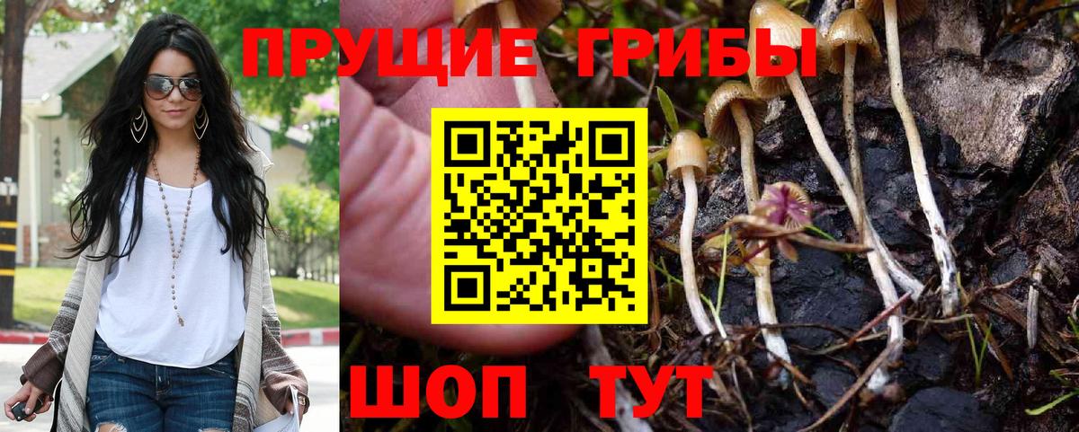 Псилоцибиновые грибы мухоморы Нижневартовск