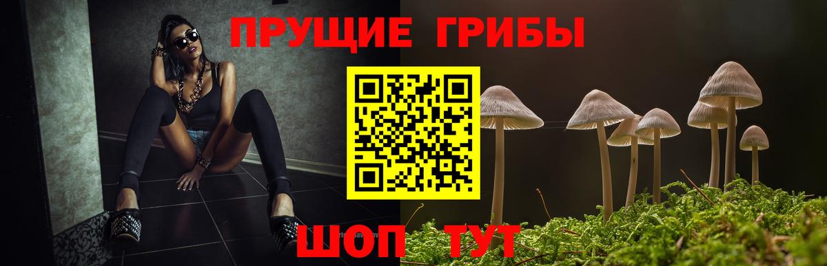 Нижневартовск  Псилоцибиновые грибы Magic Shrooms  Вход с VPN  Галлюциногенные грибы ЛСД 